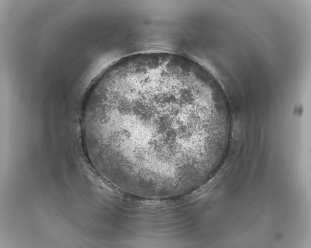 X0000089971407200707202001