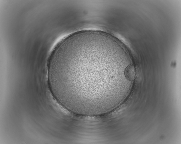 X0000089971408200707202001