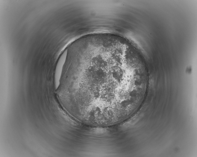 X0000089971409200707202001