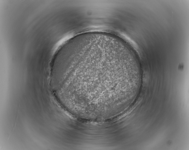 X0000089971411200707202001