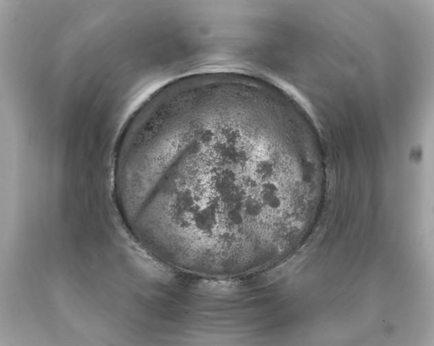 X0000089971415200707202001