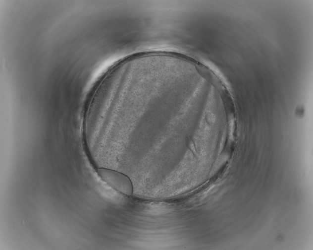 X0000089971416200707202001