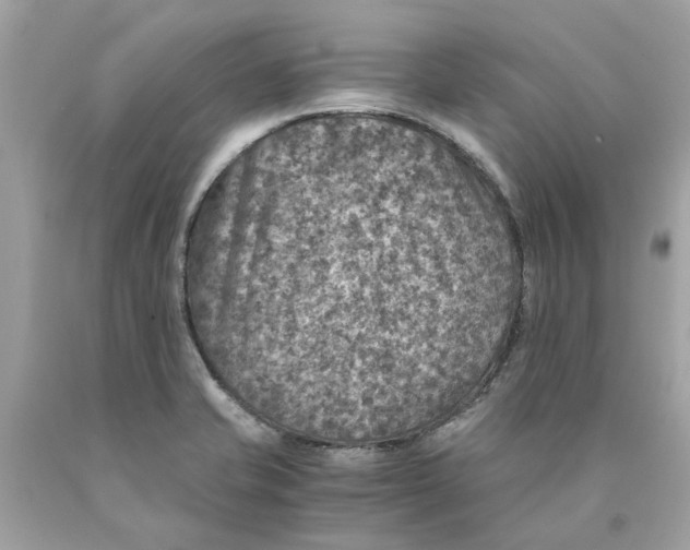 X0000089971421200707202001