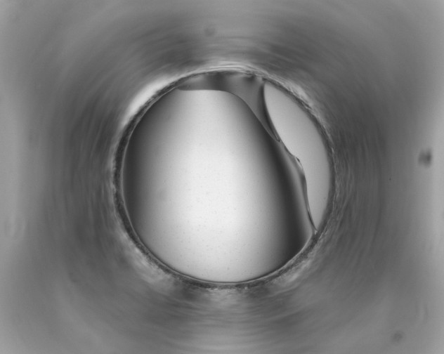 X0000089971422200707202001