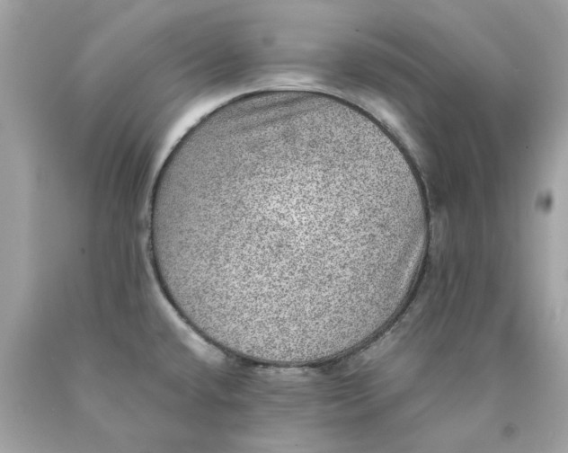 X0000089971432200707202001