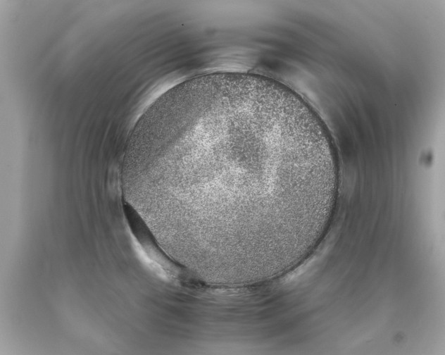 X0000089971433200707202001