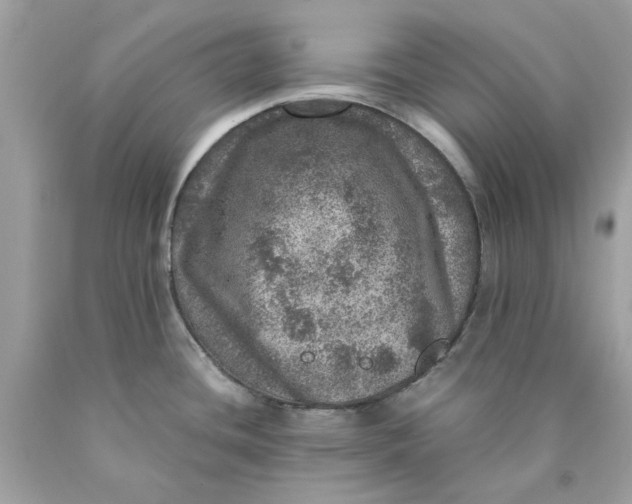 X0000089971436200707202001