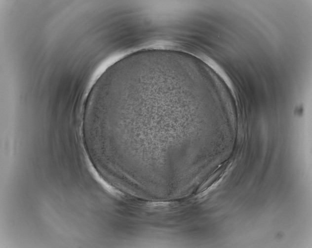 X0000089971437200707202001