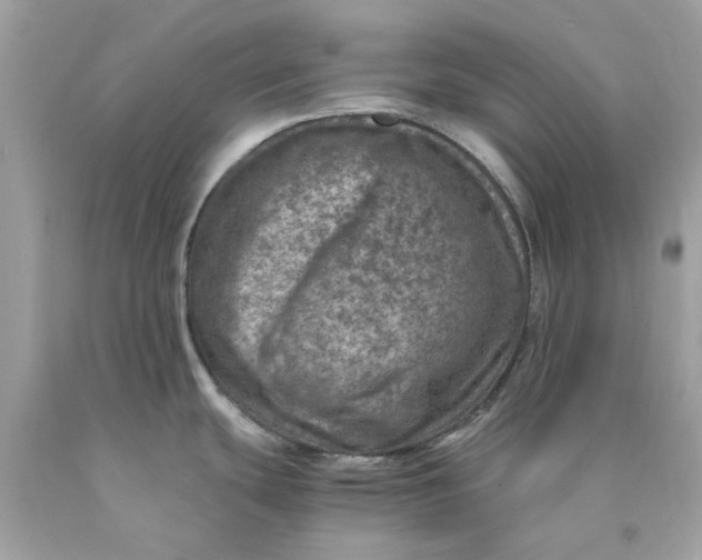 X0000089971439200707202001