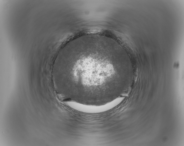 X0000089971441200707202000