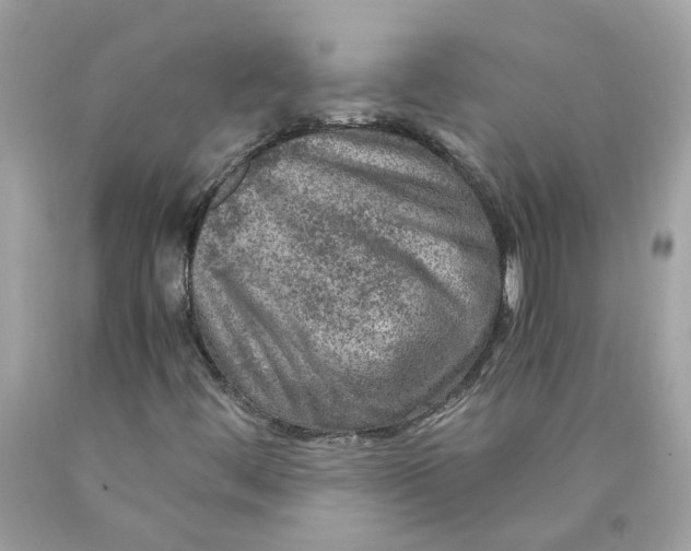 X0000089971444200707202000