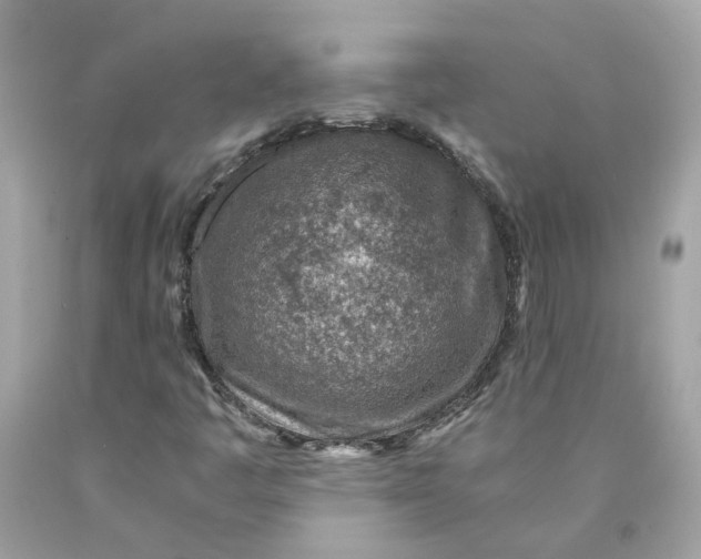 X0000089971445200707202000