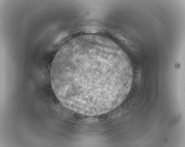 X0000089971446200707202000