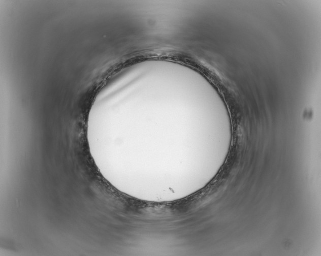 X0000089971447200707202000