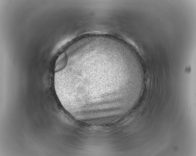 X0000089971448200707202000