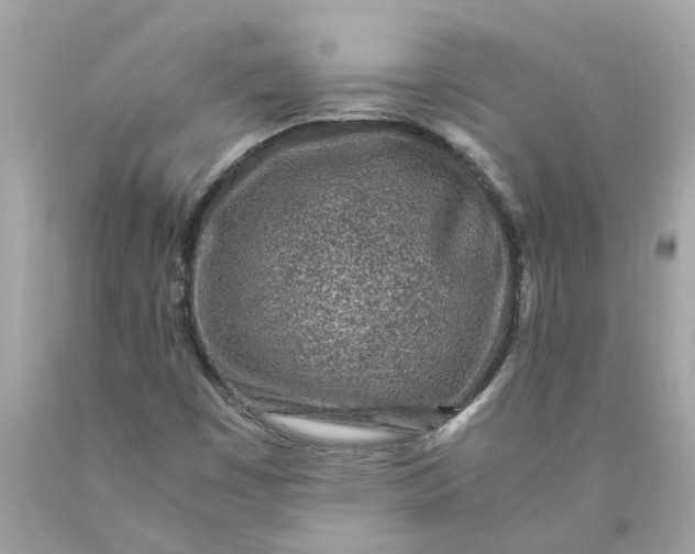 X0000089971449200707202000