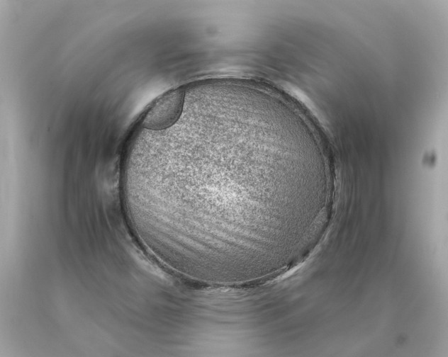 X0000089971450200707202000