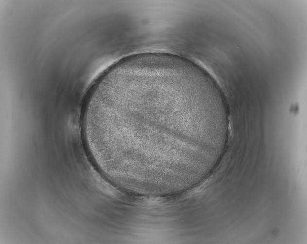 X0000089971452200707202000