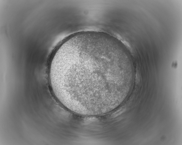 X0000089971454200707202000