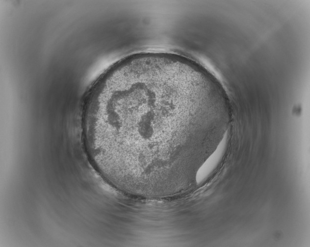 X0000089971456200707202000