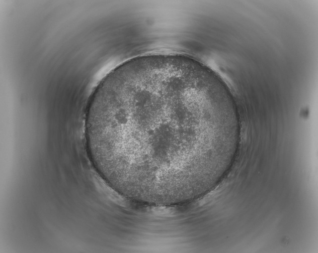 X0000089971459200707202000