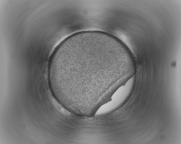 X0000089971460200707202000