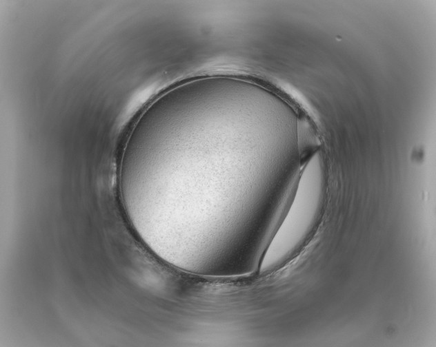 X0000089971461200707202000