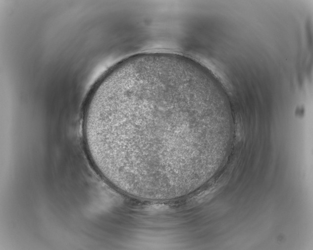 X0000089971462200707202000