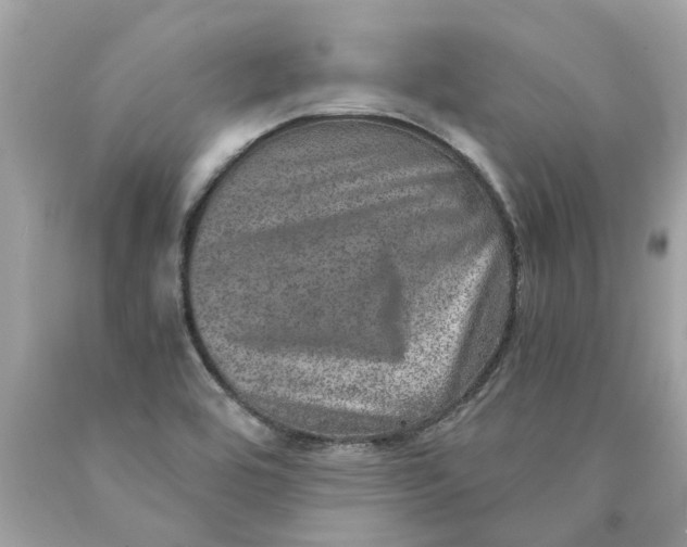 X0000089971464200707202000