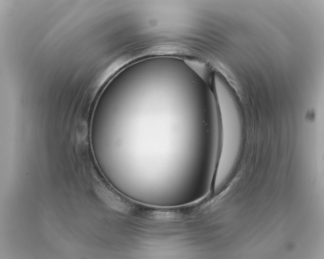 X0000089971465200707202000