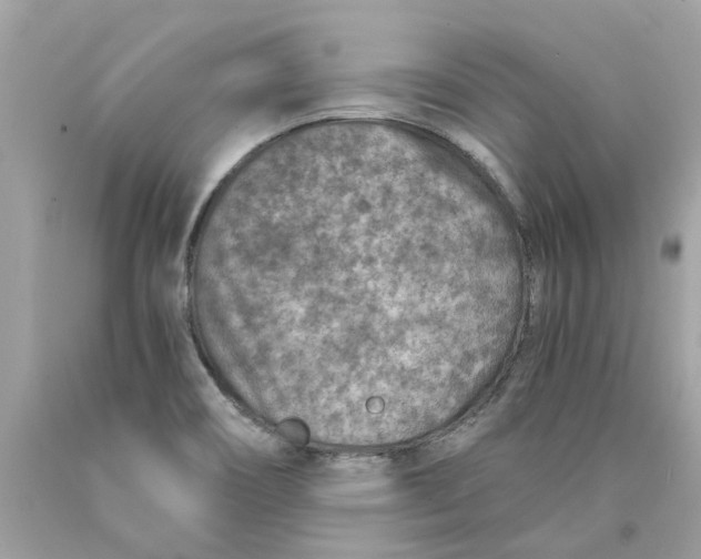 X0000089971466200707202000