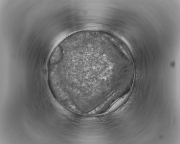 X0000089971467200707202000