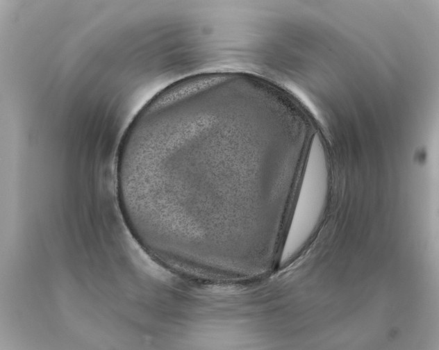 X0000089971468200707202000