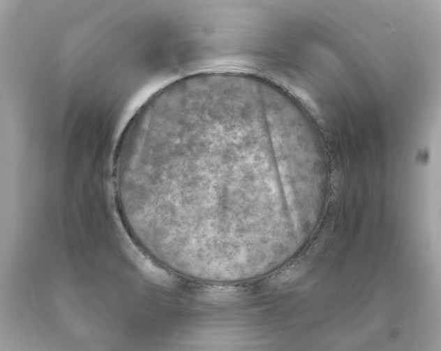 X0000089971470200707202000