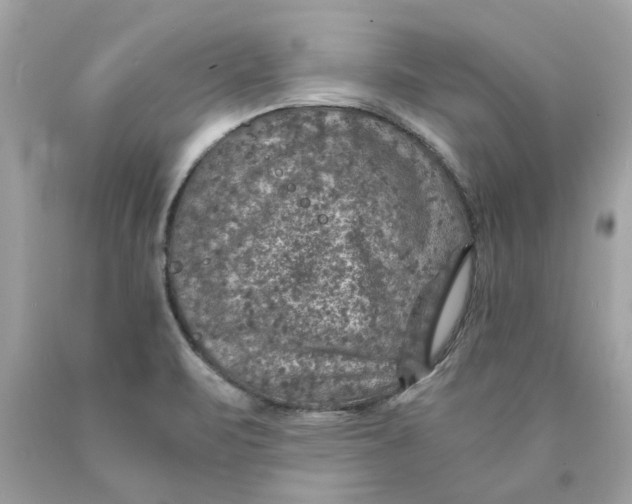 X0000089971471200707202000