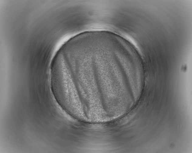 X0000089971472200707202000