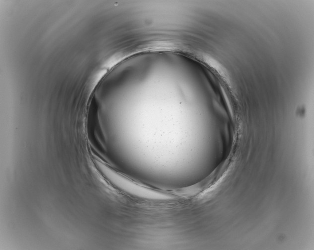 X0000089971473200707202000