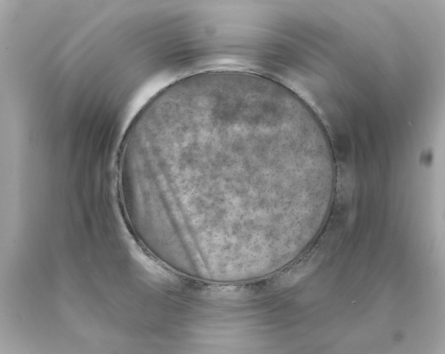 X0000089971474200707202000