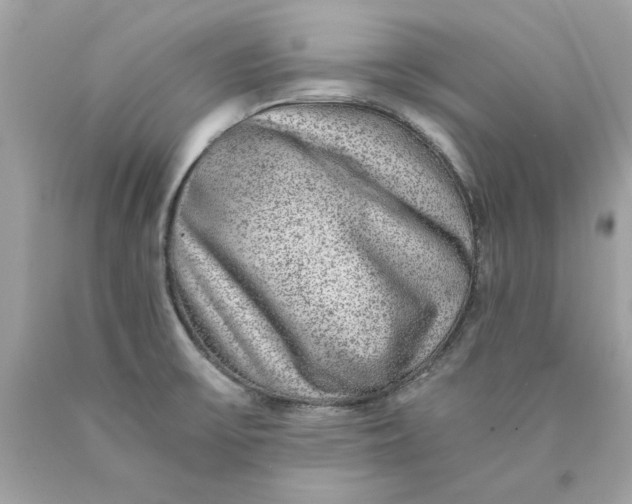 X0000089971475200707202000