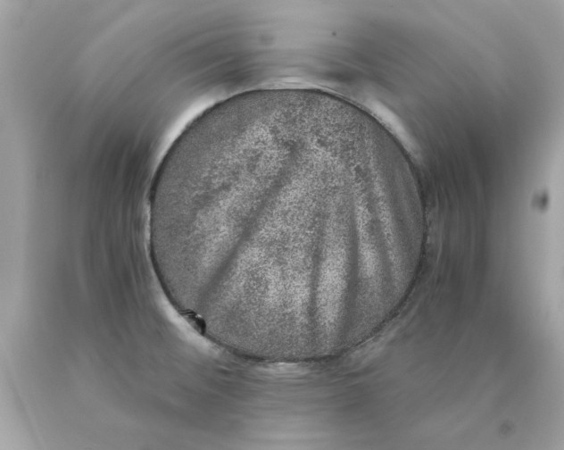 X0000089971476200707202000