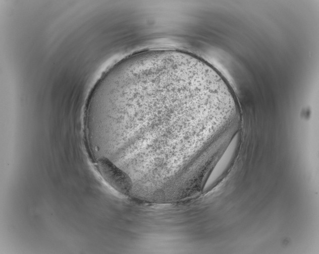 X0000089971477200707202000