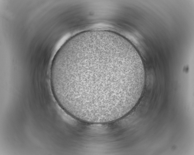 X0000089971478200707202000