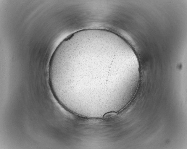 X0000089971479200707202000