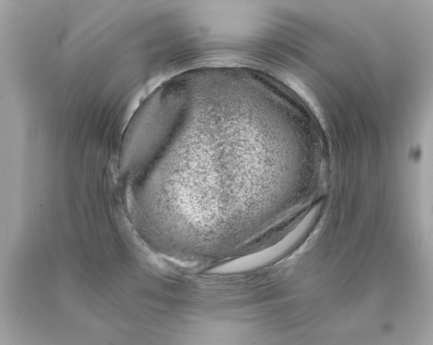 X0000089971481200707202000