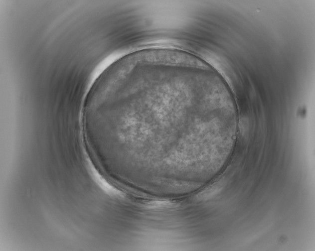 X0000089971482200707202000