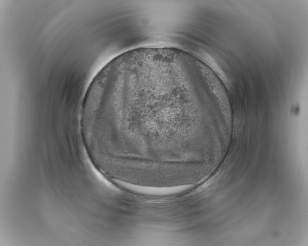 X0000089971484200707202000