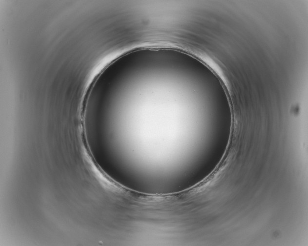 X0000089971485200707202000