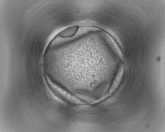 X0000089971486200707202000