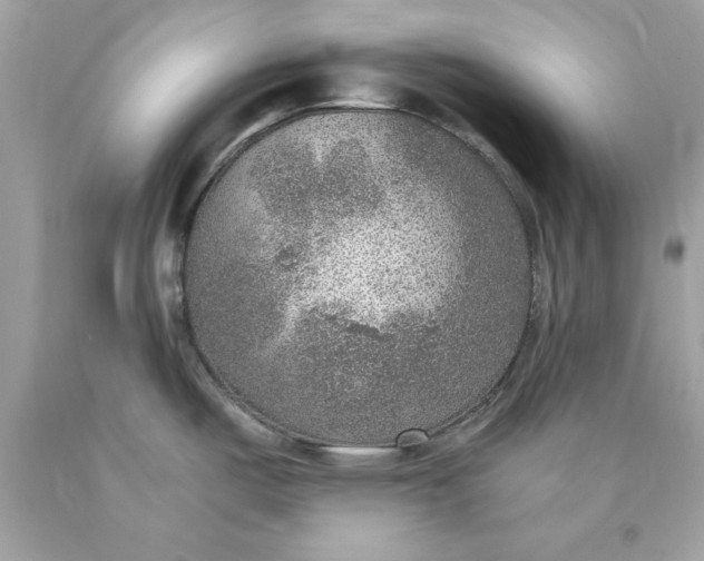 X0000089971487200707202000