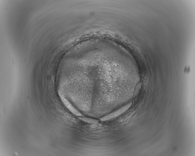 X0000089971489200707201959